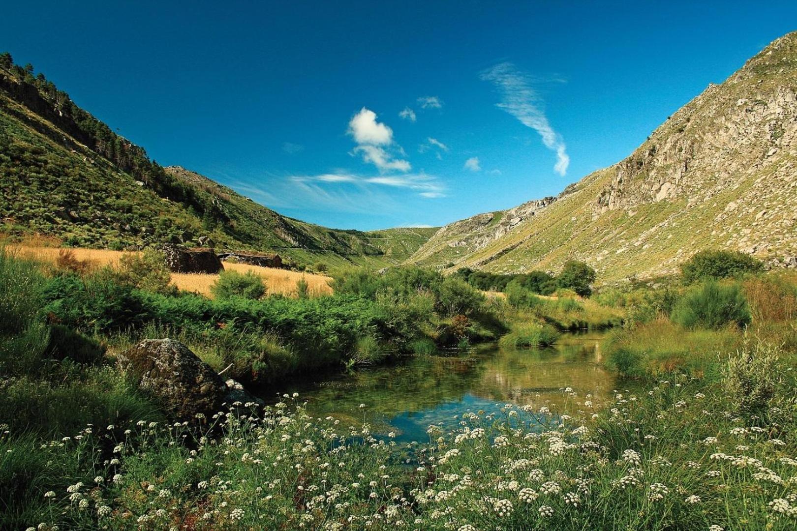Quinta Da Estrela Villa Ponte Nova Buitenkant foto